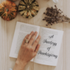 Thanksgiving Theology