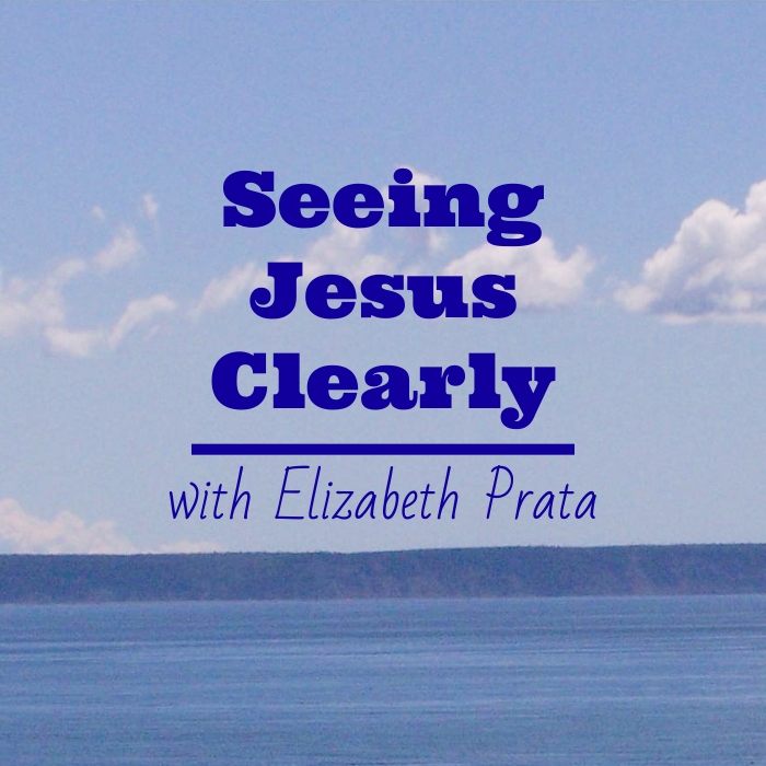 Seeing Jesus Clearly – with Elizabeth Prata | A Word Fitly Spoken