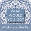 wisdom on the fly